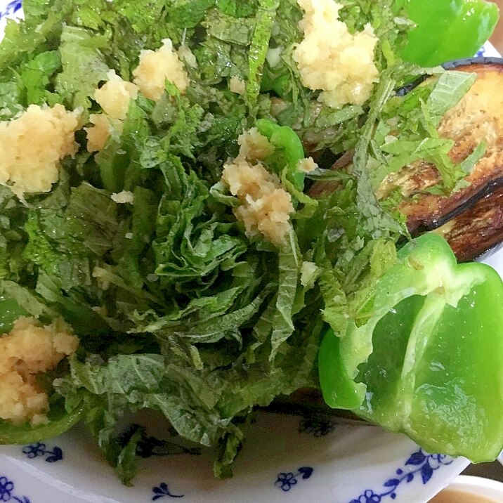 茄子とピーマンの薬味たっぷり焼き野菜